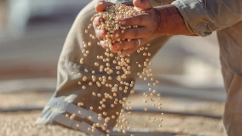 ‘Ugly’ fees On Chinese ships concern US ag exporters