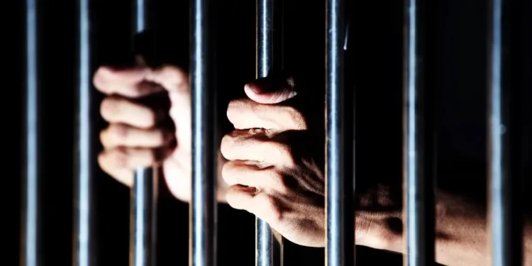 Ohio trucking company operator gets 30 months for income tax evasion