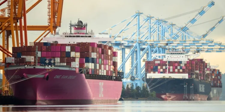 Retailers see container import hangover for 2026