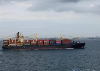 Shipping lines turn to domestic Chinese owners for chartered tonnage