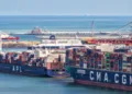 SIIM and CMA CGM boost tropical fruit imports via Dunkirk