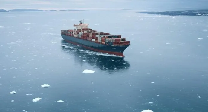 US turns to allied shipyards as Arctic capability gap persists