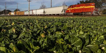 OmniTRAX names Dreier as chief commercial officer