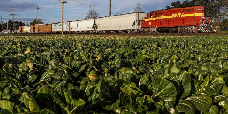 OmniTRAX names Dreier as chief commercial officer