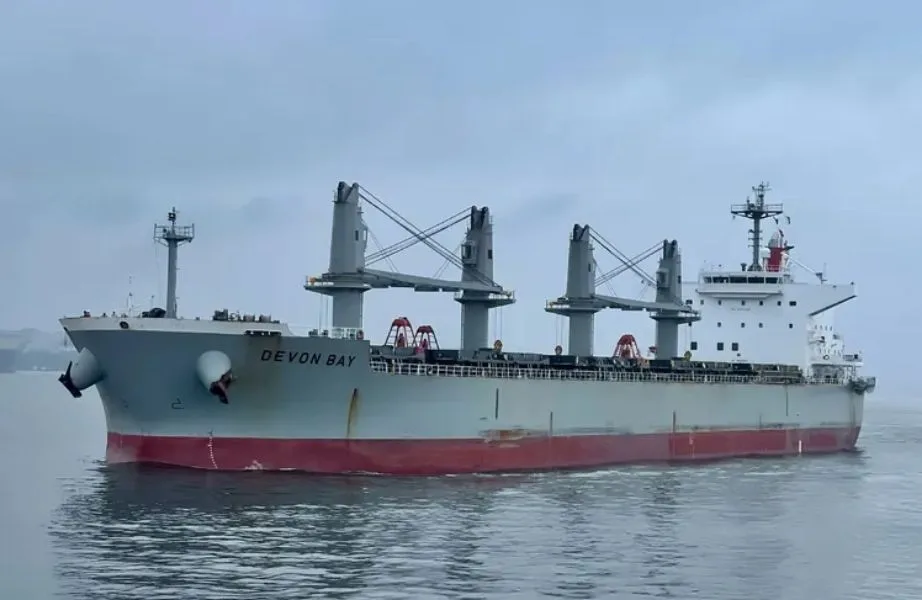 Two dead, four missing after bulker sinks in South China Sea