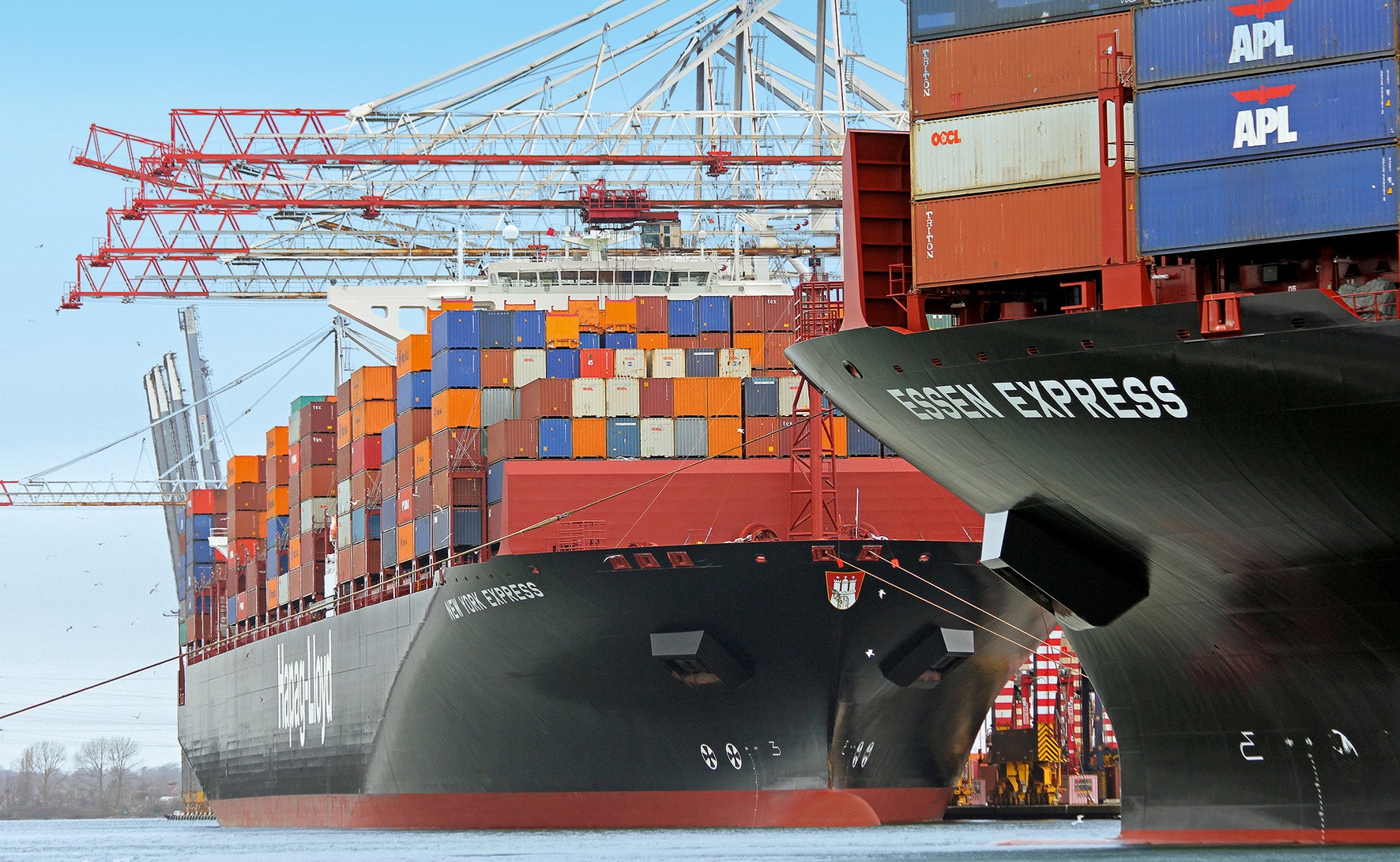 Red Sea torpedoes Hapag-Lloyd rates